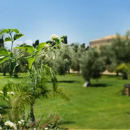 Hotel Hotel Villa Fanusa